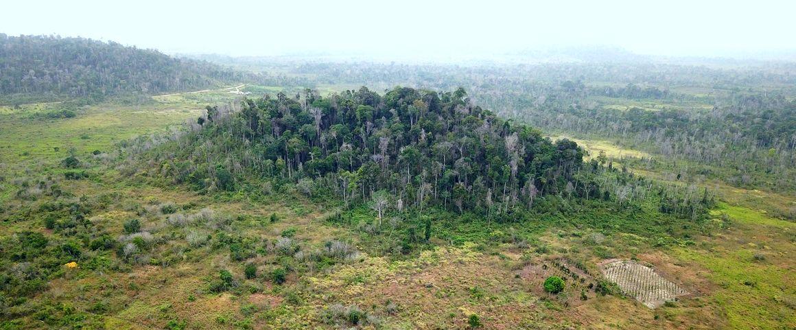 Îlots de forêts entourés de plaines cultivées (Paragominas, Brésil) © Cirad